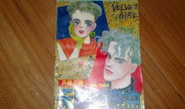 天鹅绒漫画,描绘时代变迁的细腻笔触